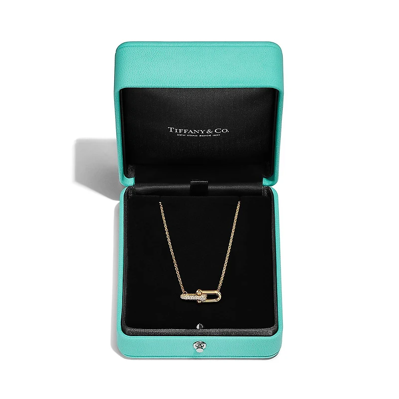 Tiffany HardWear Double Link Pendant