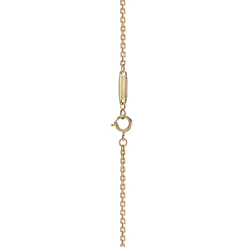 Tiffany HardWear Elongated Link Pendant