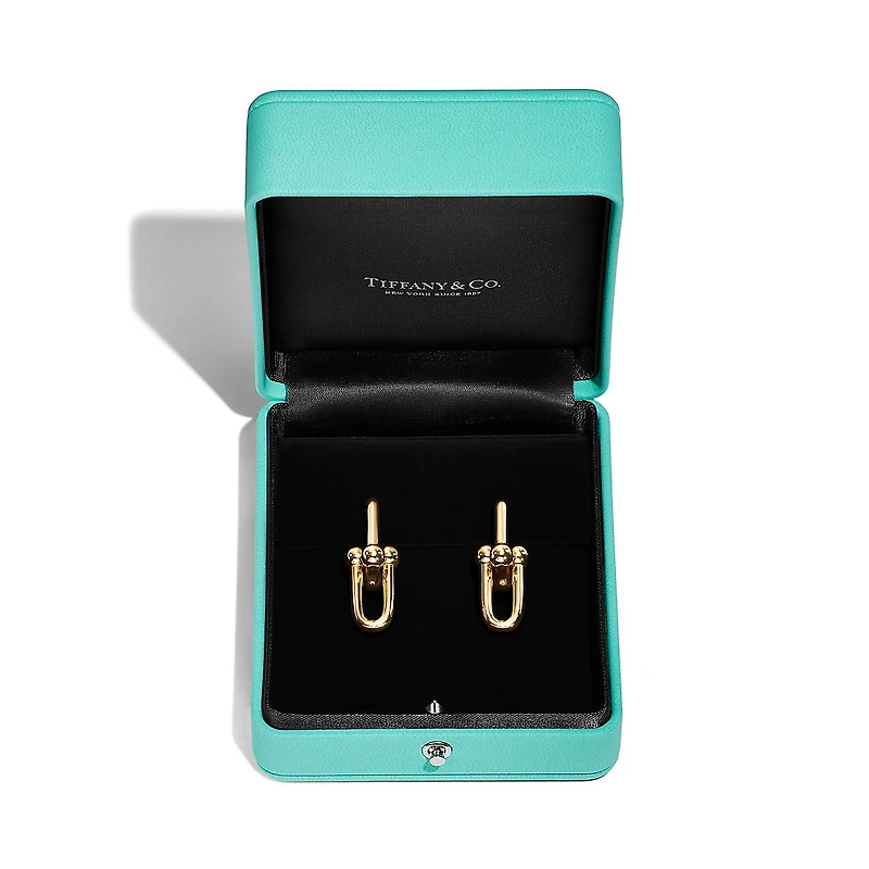 Tiffany HardWear Large Link Earrings