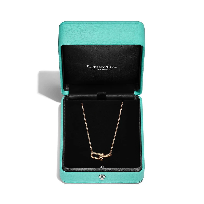 Tiffany HardWear Small Double Link Pendant