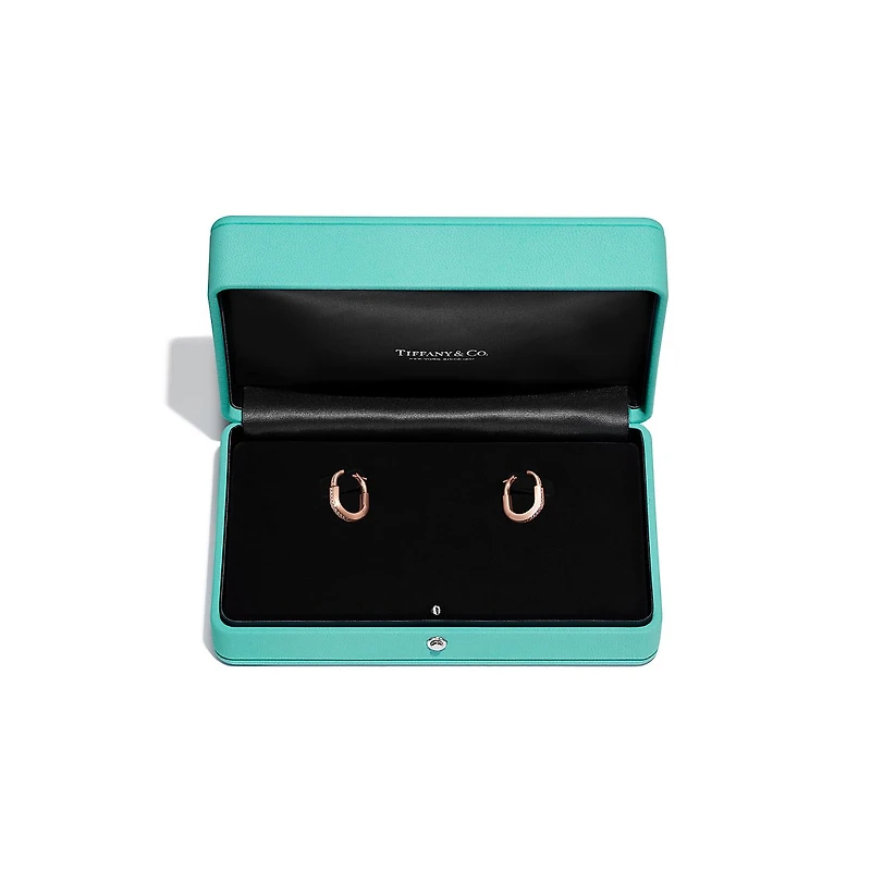 Tiffany Lock Small Lock Earrings