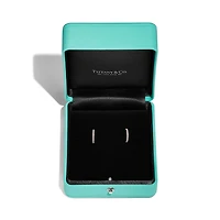 Tiffany Metro Hoop Earrings