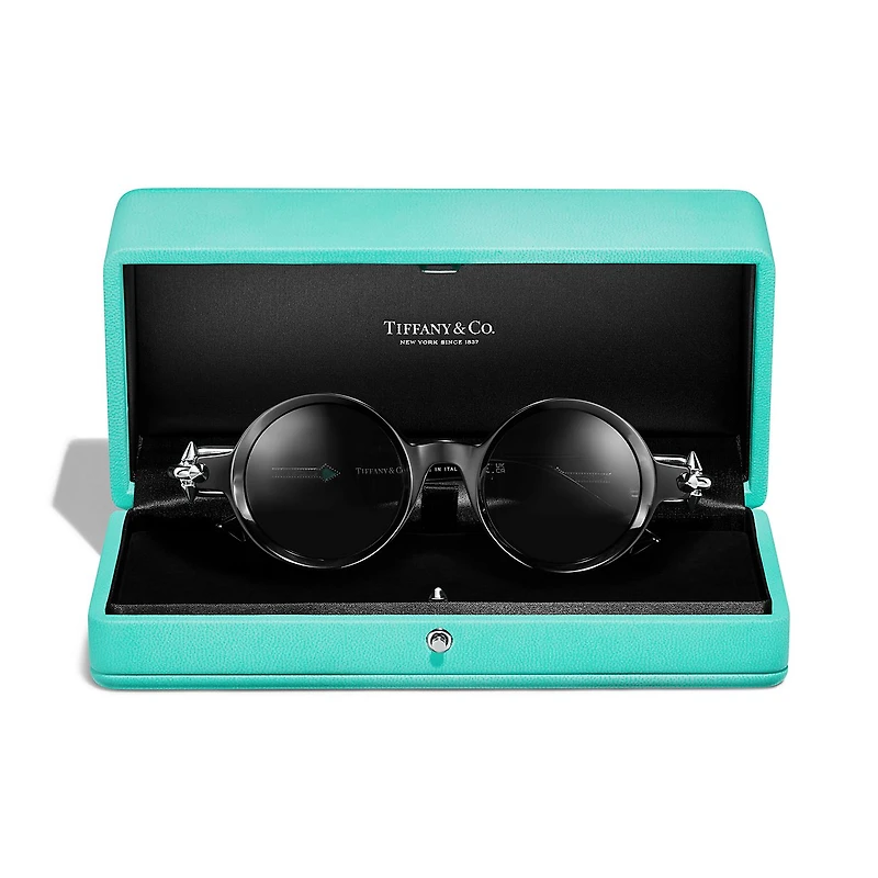 Tiffany Titan by Pharrell Williams ARCHITECT Sunglasses