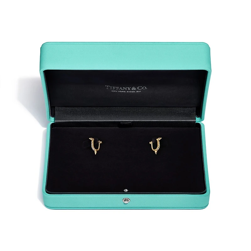 Tiffany Titan by Pharrell Williams Small Earrings