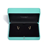Tiffany Titan by Pharrell Williams Small Earrings