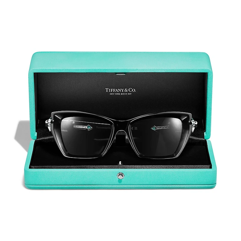 Tiffany Titan by Pharrell Williams SPEAKER Sunglasses