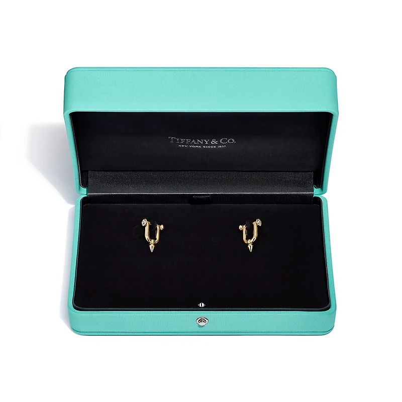 Tiffany Titan by Pharrell Williams Titan Medium Earrings