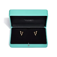Tiffany Titan by Pharrell Williams Titan Medium Earrings