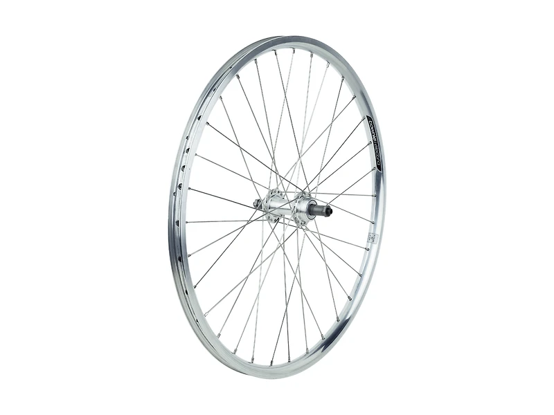 Electra Townie 7D 24˝ Step-Thru Wheels