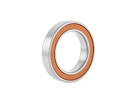 Bontrager LLH Replacement Hub Bearing