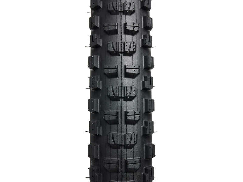 Bontrager Brevard Pro XR TLR MTB Tire