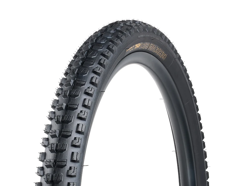 Bontrager Brevard RSL SE TLR MTB Tire