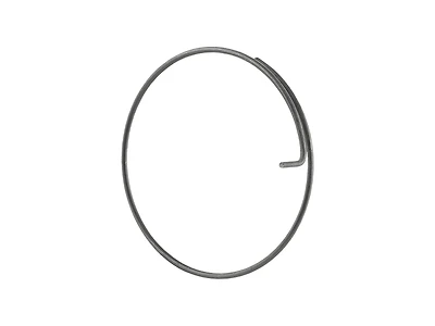 Bontrager DT Swiss Onyx Pawl Spring