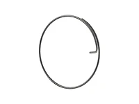 Bontrager DT Swiss Onyx Pawl Spring