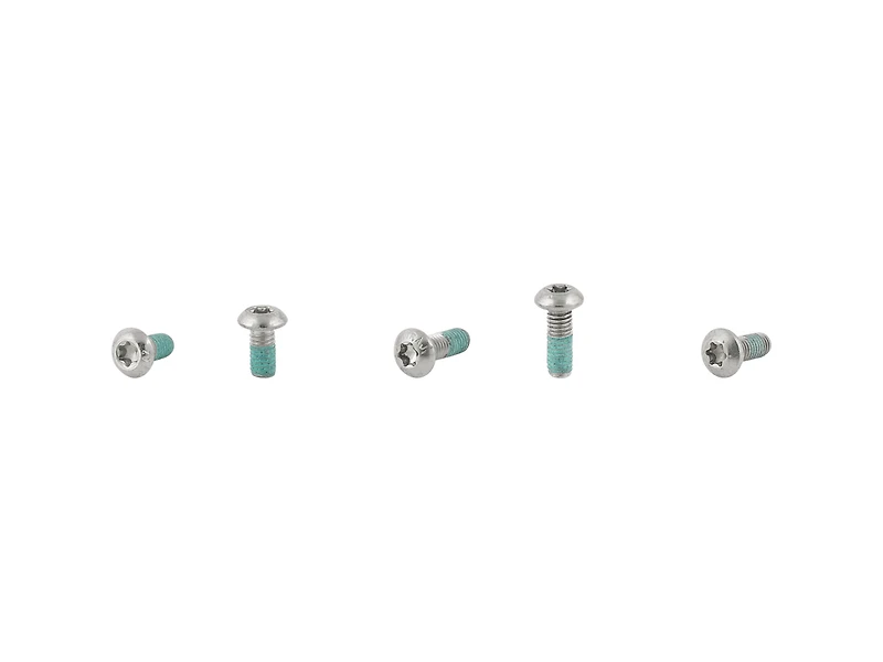 Electra Townie Go! 5i Fender Bolt Set