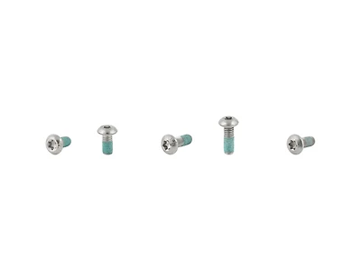 Electra Townie Go! 5i Fender Bolt Set