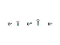 Electra Townie Go! 5i Fender Bolt Set
