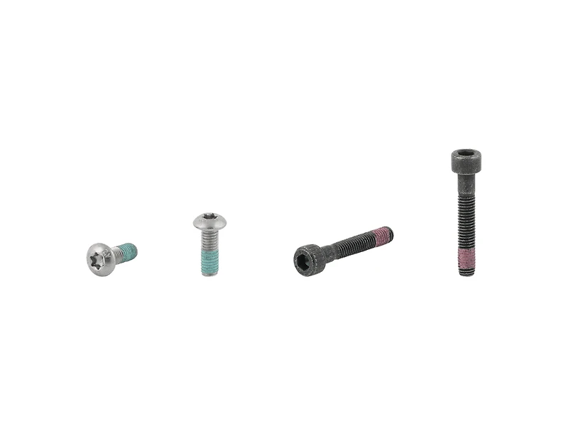 Electra Townie Go! 5i Rack Bolt Set