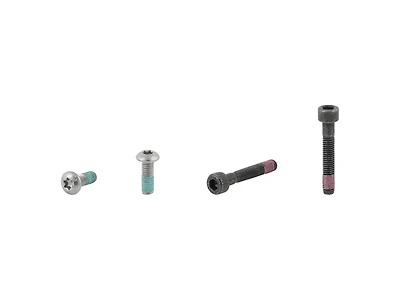 Electra Townie Go! 5i Rack Bolt Set