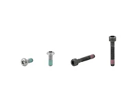 Electra Townie Go! 5i Rack Bolt Set
