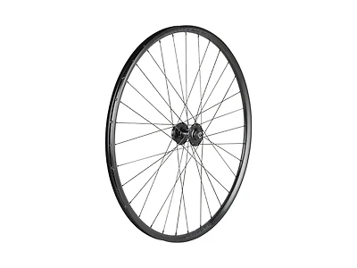 Bontrager Kovee TLR 32 Hole 29˝ 6-Bolt Disc MTB Wheel