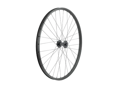 Bontrager Line 30 6-Bolt TLR Boost 29˝ MTB Wheel