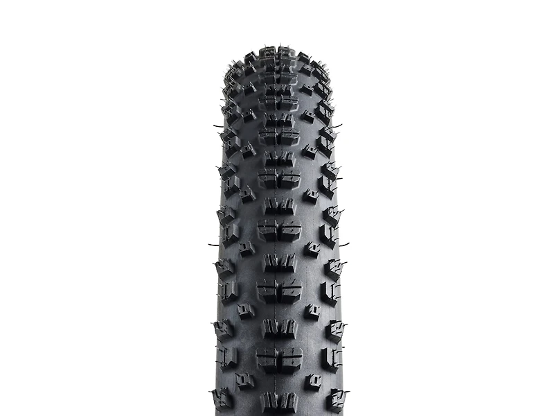 Bontrager Montrose Pro XR TLR MTB Tire