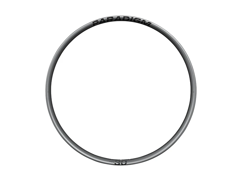 Bontrager Paradigm Pro 30 Rim