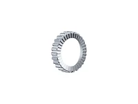 Bontrager Ratchet EXP 36T Star Ratchet