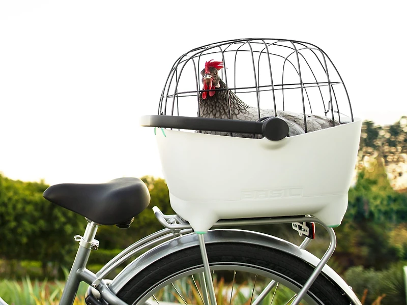 Electra Basil MIK Pet Carrier