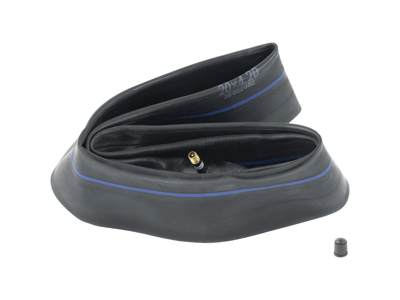 Electra Ponto Go! 20˝ Bicycle Tube