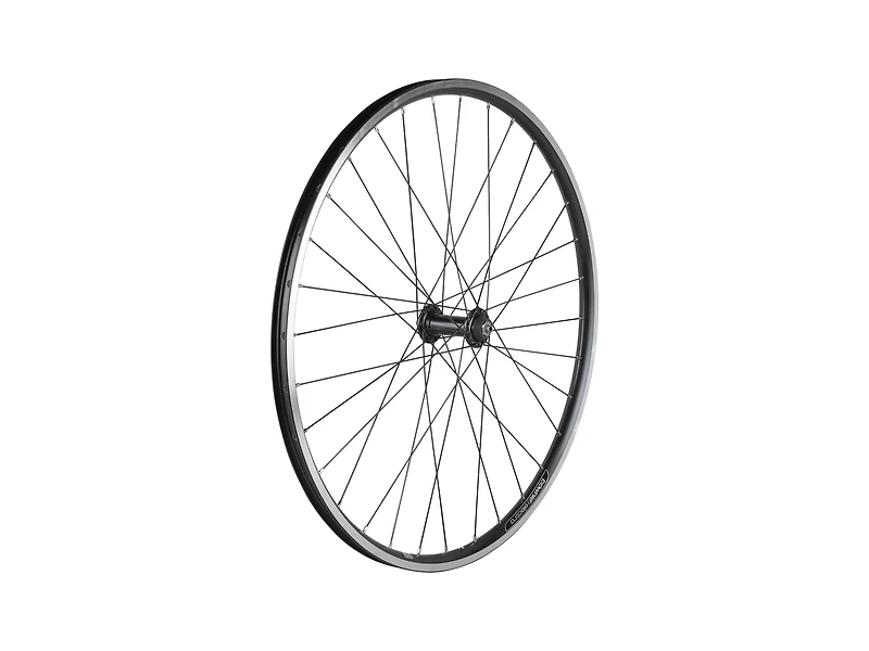 Electra 2021 Townie 7D 26˝ Wheels