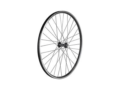 Electra 2021 Townie 7D 26˝ Wheels