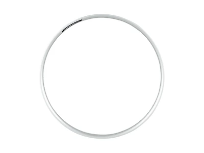 Electra Townie Go! 26˝ Rim