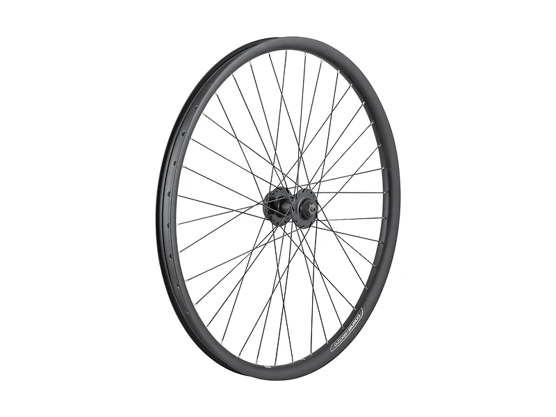 Electra Townie Go! 35mm Wide Rim 7D 26˝ Wheel