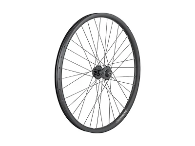 Electra Townie Go! 35mm Wide Rim 7D 26˝ Wheel