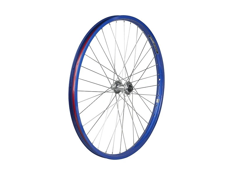Electra Townie Go! 8i Centerlock Disc 26˝ Wheel
