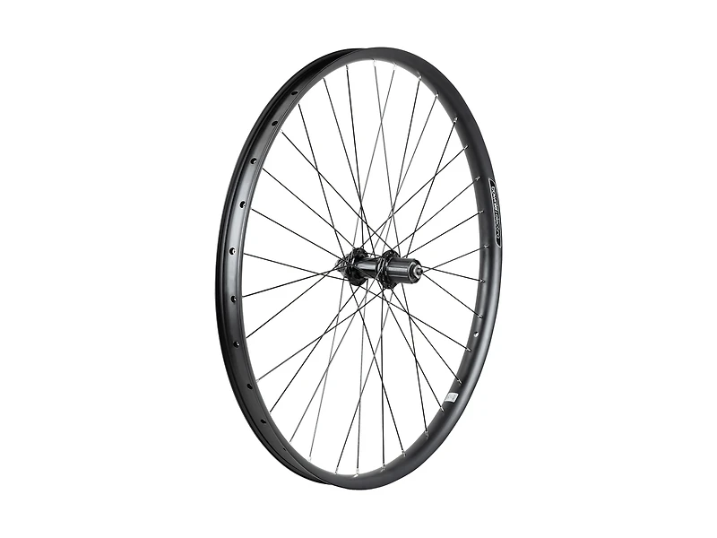 Electra Townie Path 9D EQ Centerlock Disc 27.5˝ Wheel