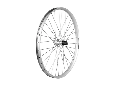 Electra Townie Path 9D EQ Centerlock Disc 27.5˝ Wheel