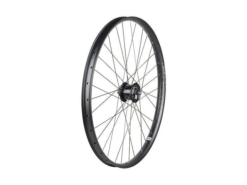 Electra Townie Path EQ 6-Bolt Disc 27.5˝ Wheels