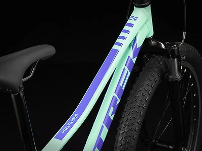 Precaliber 24 8-speed Suspension
