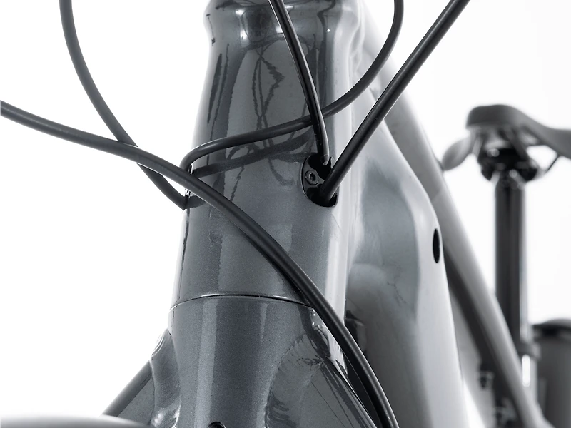 Allant+ 8S - 2023, Medium