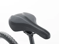 Verve 1 Disc Lowstep Gen 4 - 2022