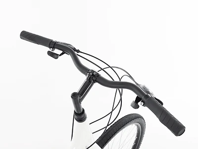 Verve Disc Lowstep Gen 4 - 2022