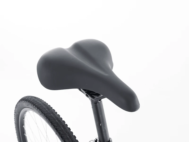 Verve Disc Lowstep Gen 4 - 2022