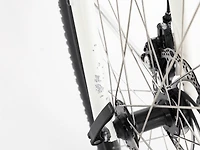 Verve Disc Lowstep Gen 4 - 2022