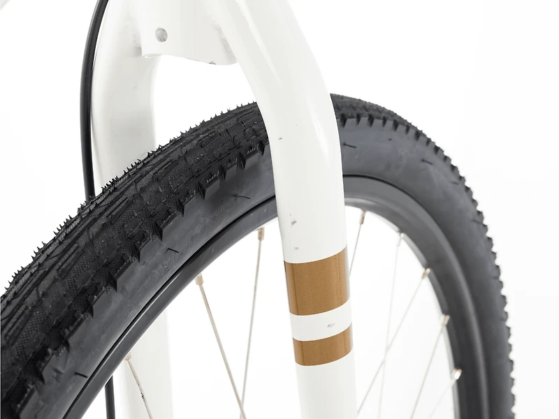Verve Disc Lowstep Gen 4 - 2022