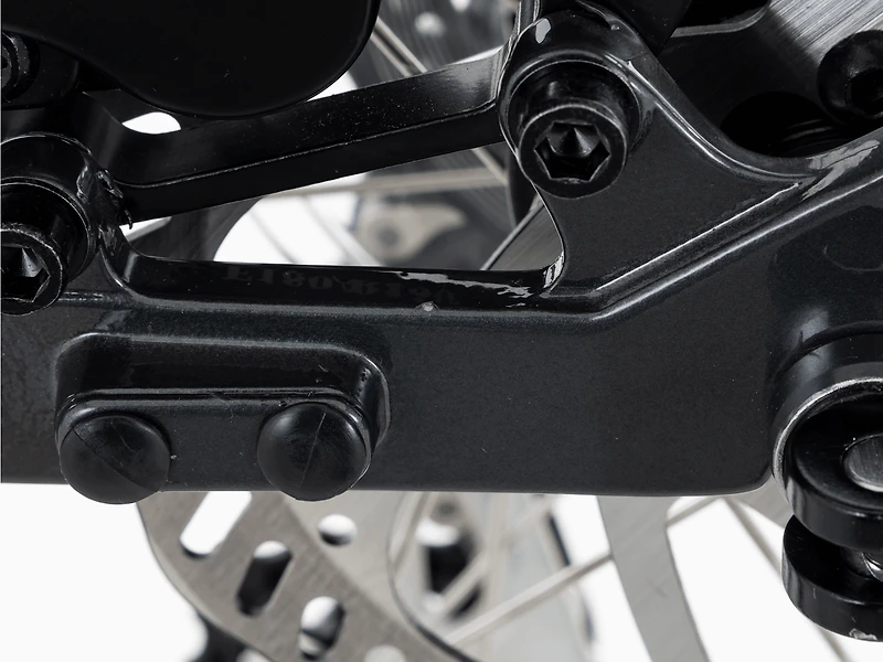 Verve Disc Lowstep Gen 4 - 2022