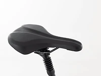 Verve 2 Disc Lowstep Gen 4 - 2022