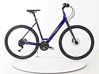 Verve 3 Disc Lowstep - 2022, Large